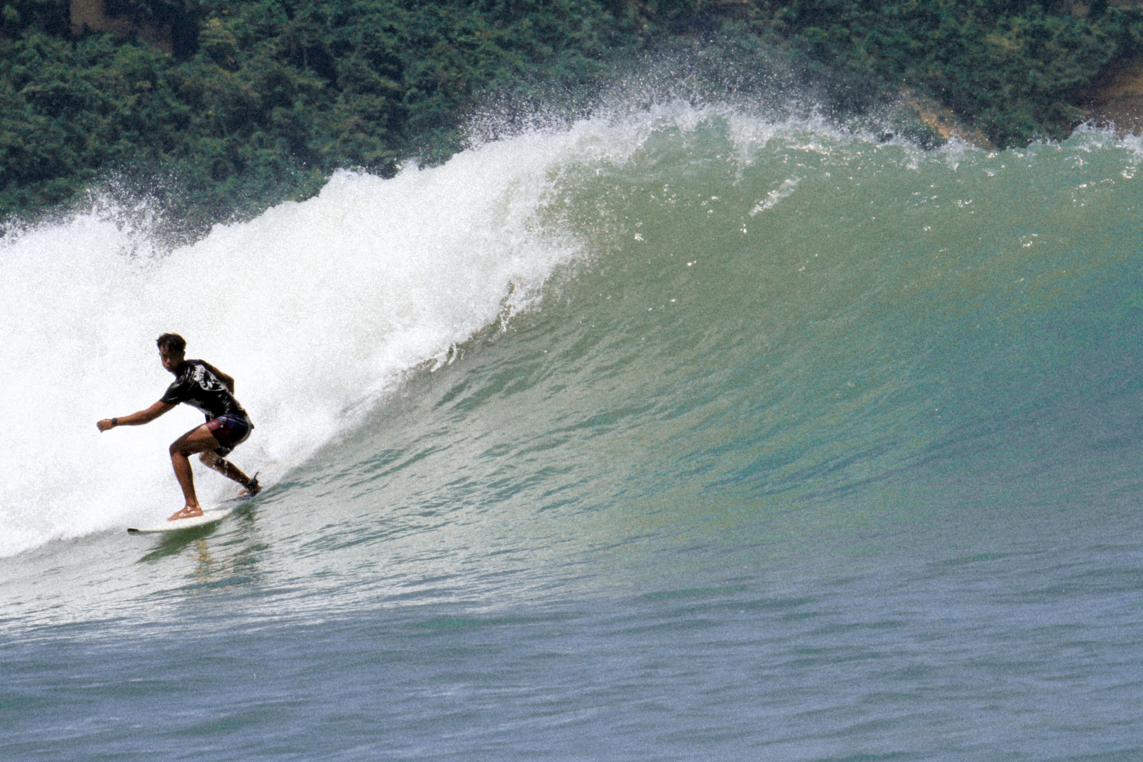 Rendy surf